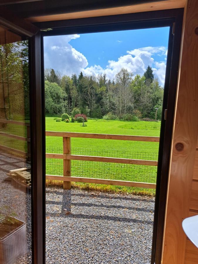 Desart School Garden Chalet Kilkenny Exterior foto