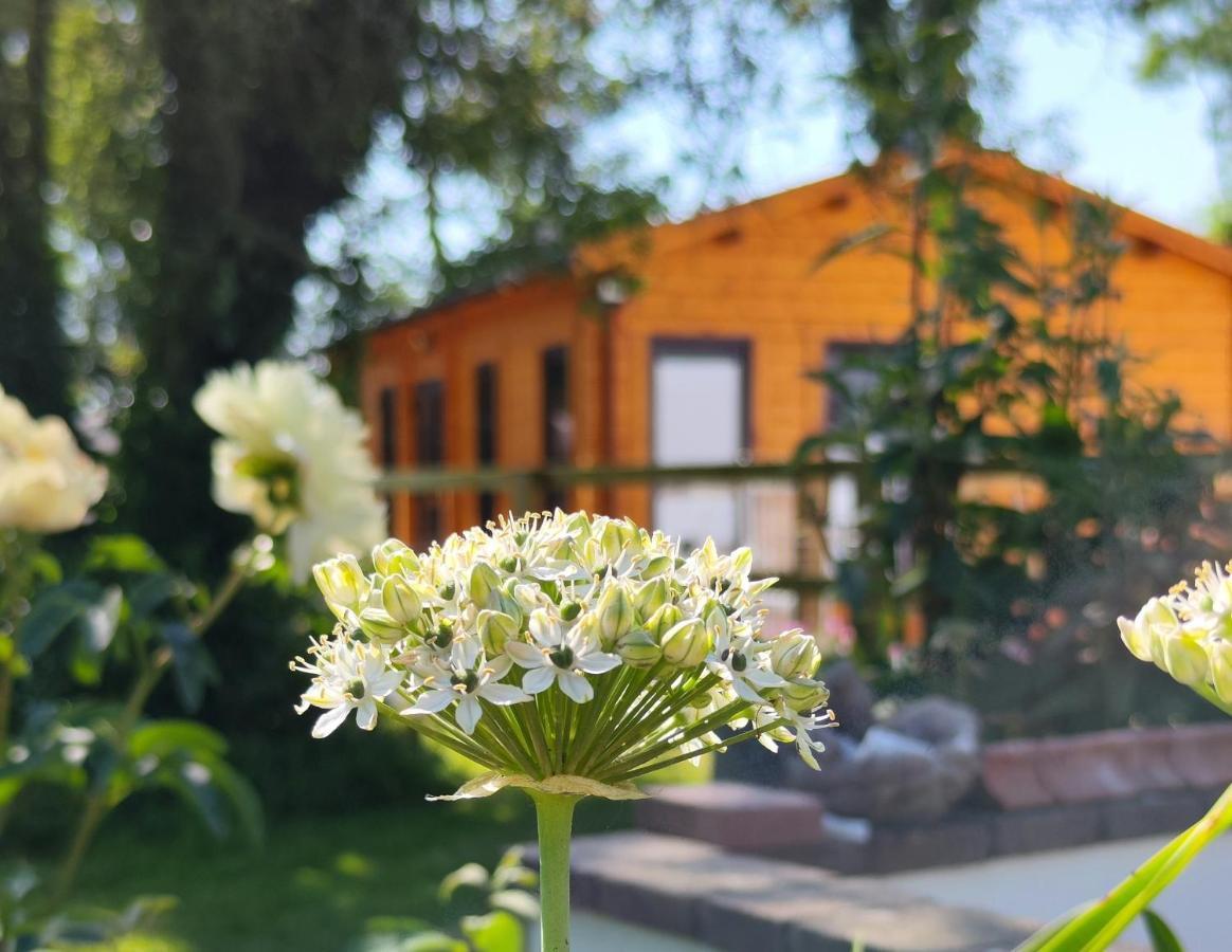 Desart School Garden Chalet Kilkenny Exterior foto
